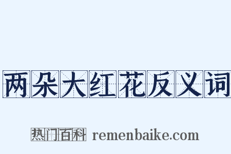 两朵大红花反义词是什么意思的图片
